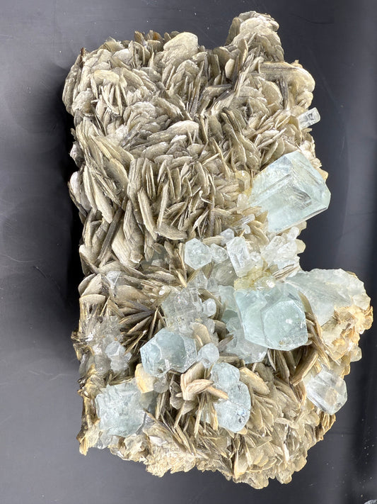 Aqua Marine Specimen 4