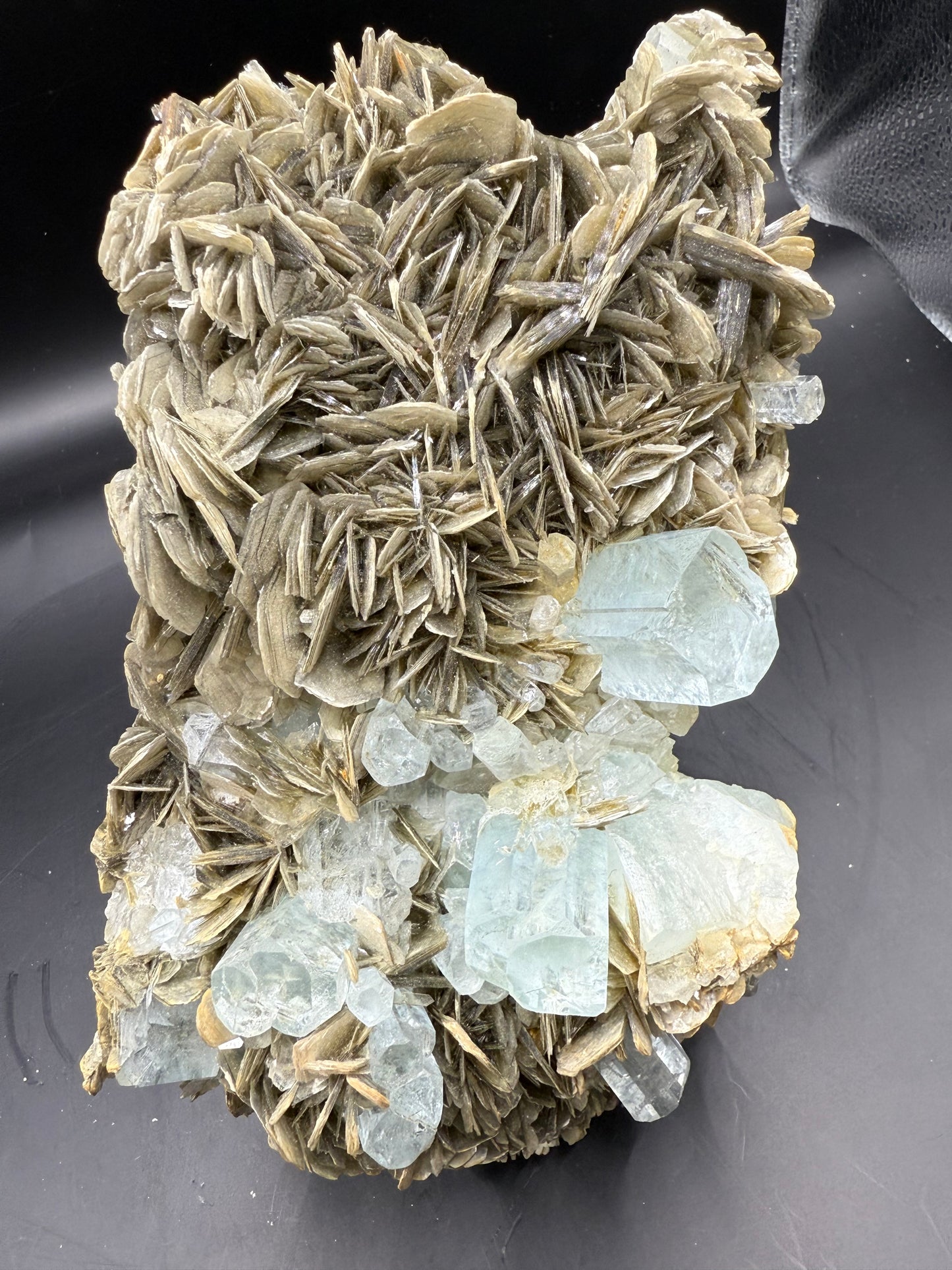 Aqua Marine Specimen 4