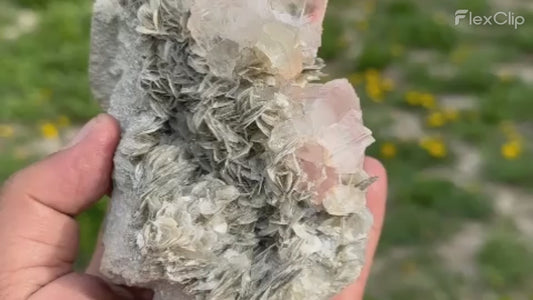 Aqua Marine Specimen